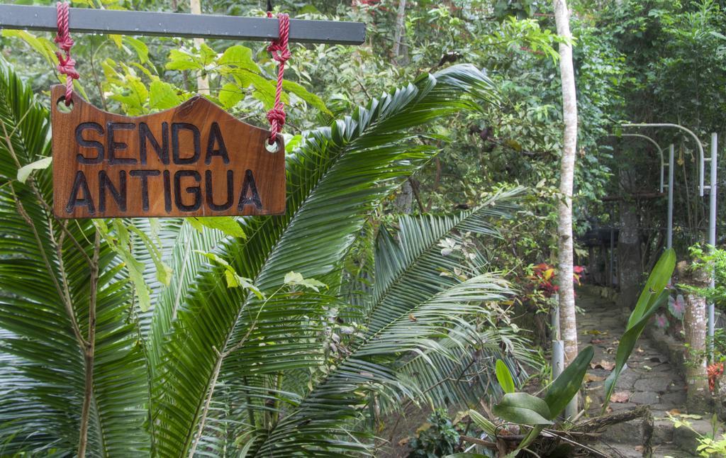 Brisas Del Paraiso Bed & Breakfast Manglaralto ภายนอก รูปภาพ