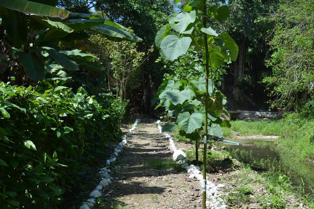 Brisas Del Paraiso Bed & Breakfast Manglaralto ภายนอก รูปภาพ
